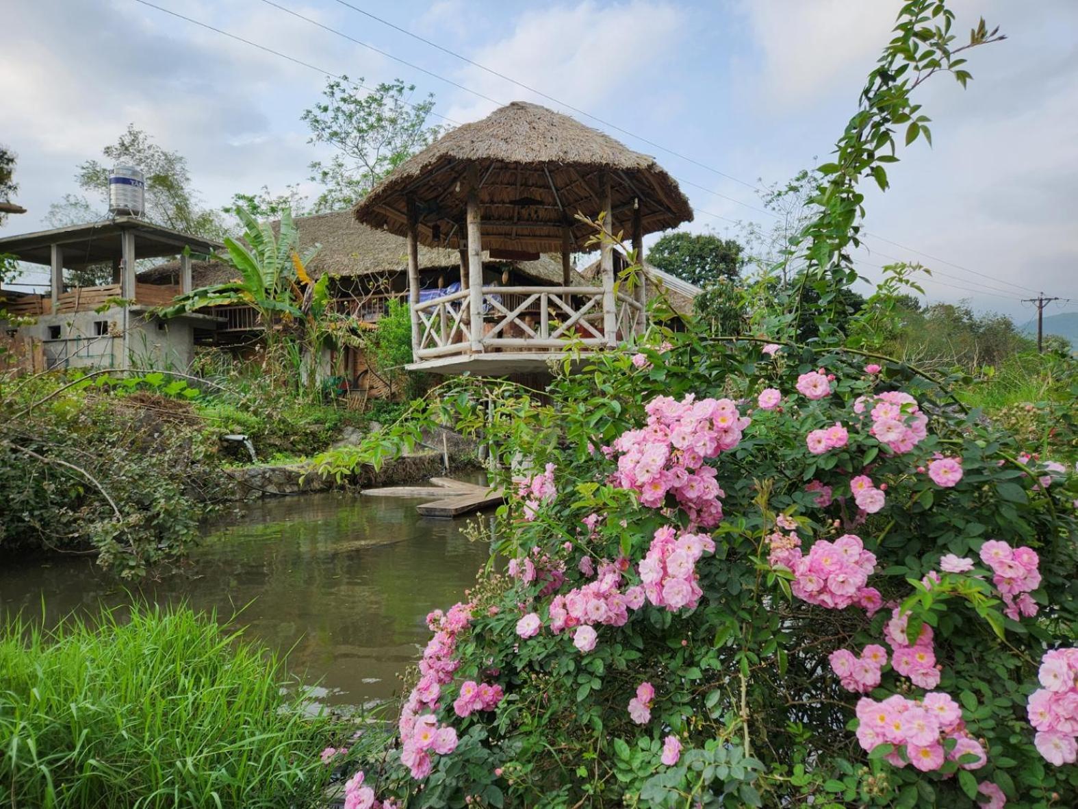 Dong Que Homestay-Tours-Motorbike, Car Rental, Hiking Ha Giang Exterior photo